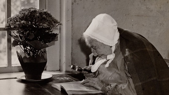 Zoektips en terminologie