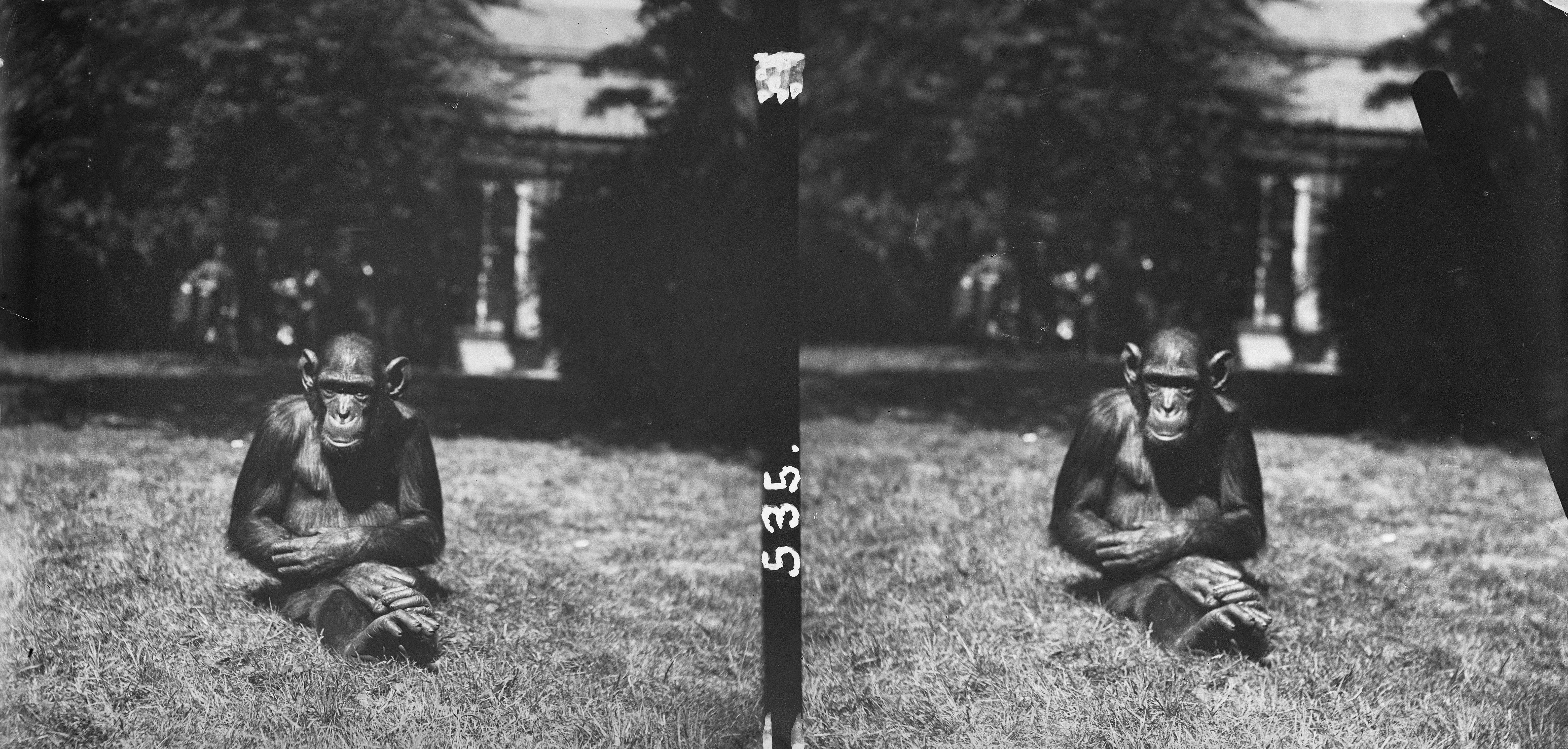 Application Programming Interface (API)